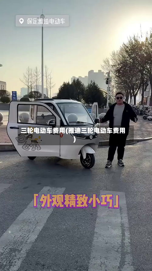 三轮电动车费用(雅迪三轮电动车费用)-第2张图片