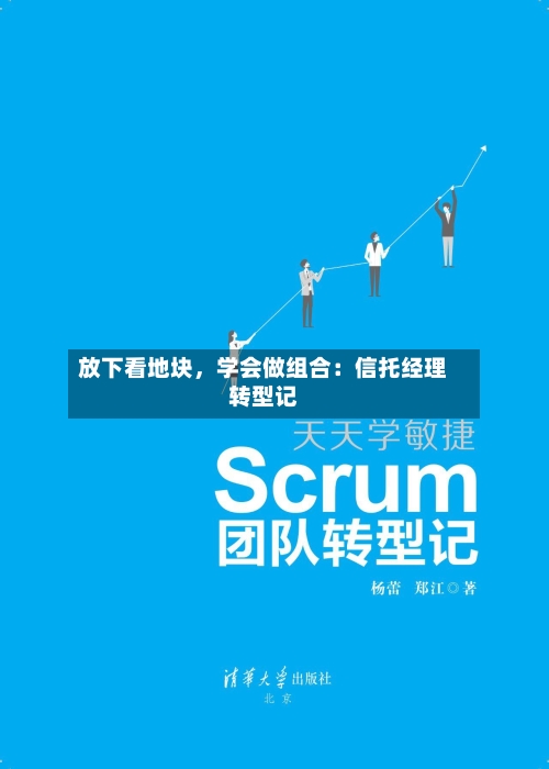 放下看地块，学会做组合：信托经理转型记-第2张图片