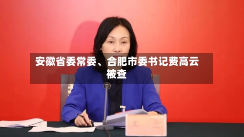 安徽省委常委、合肥市委书记费高云被查-第2张图片
