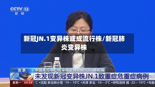 新冠JN.1变异株或成流行株/新冠肺炎变异株-第2张图片