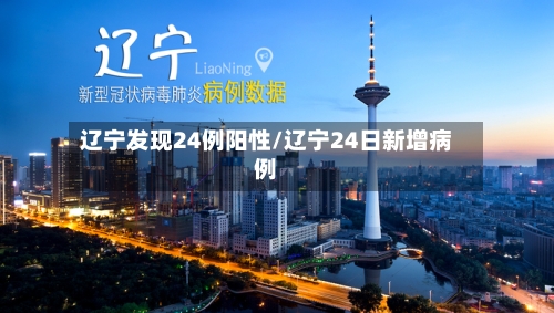 辽宁发现24例阳性/辽宁24日新增病例