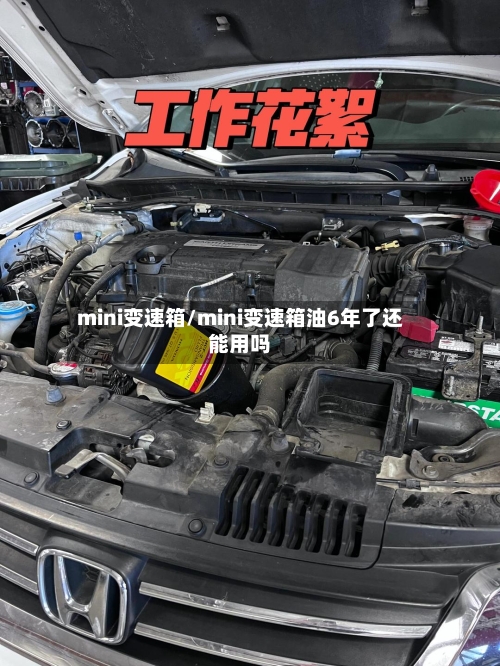 mini变速箱/mini变速箱油6年了还能用吗