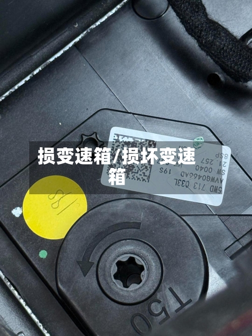 损变速箱/损坏变速箱