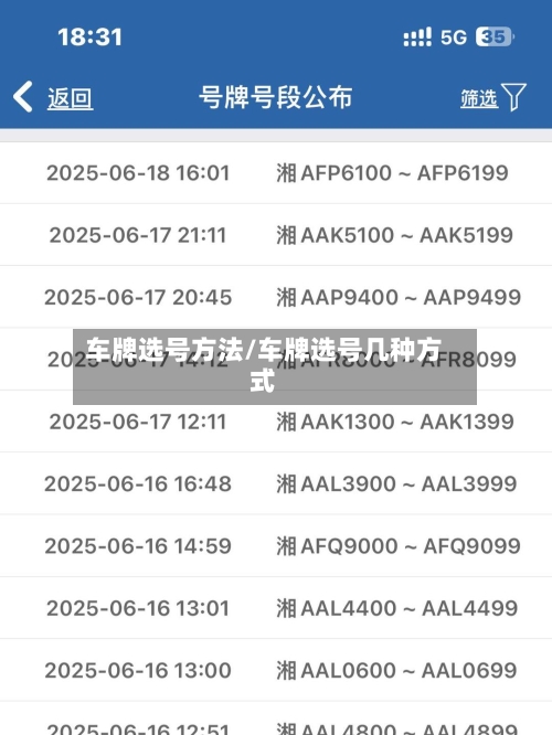车牌选号方法/车牌选号几种方式