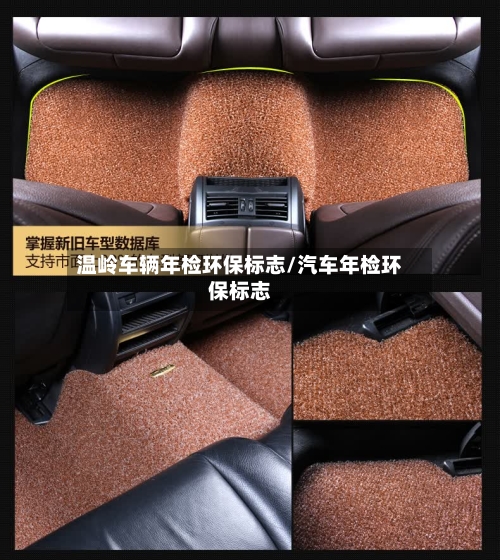 温岭车辆年检环保标志/汽车年检环保标志-第2张图片