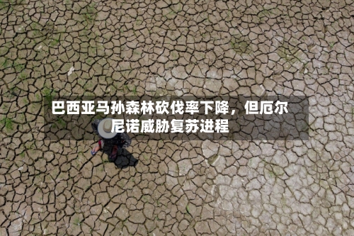 巴西亚马孙森林砍伐率下降，但厄尔尼诺威胁复苏进程
