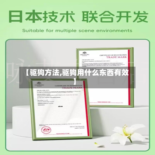 【驱狗方法,驱狗用什么东西有效】
