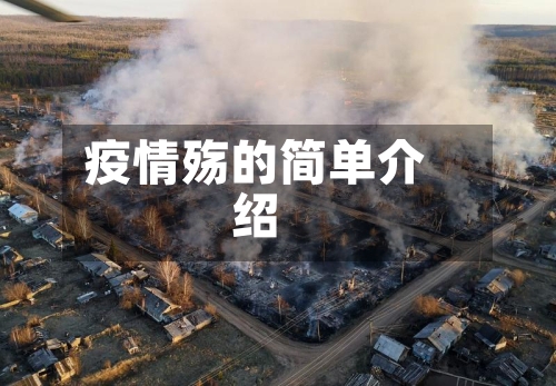 疫情殇的简单介绍-第3张图片
