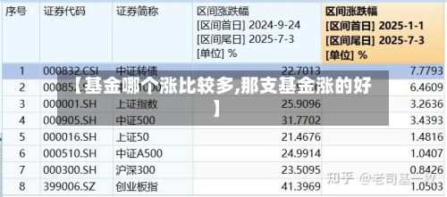 【基金哪个涨比较多,那支基金涨的好】