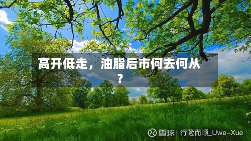 高开低走	，油脂后市何去何从？-第2张图片