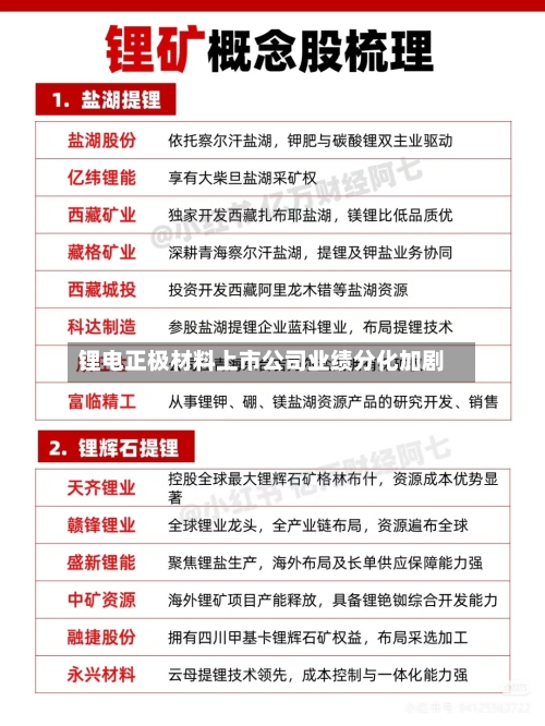 锂电正极材料上市公司业绩分化加剧-第3张图片