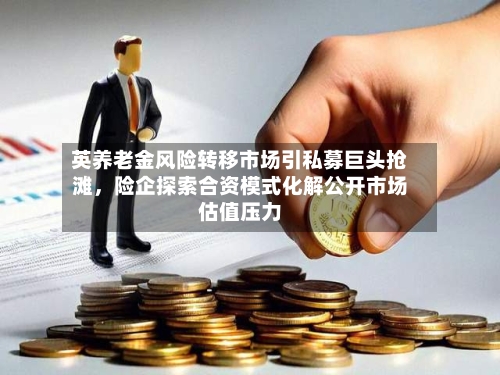 英养老金风险转移市场引私募巨头抢滩，险企探索合资模式化解公开市场估值压力