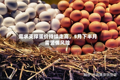 需求支撑蛋价持续走高，5月下半月需警惕风险-第2张图片