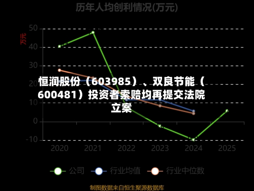 恒润股份（603985）、双良节能（600481）投资者索赔均再提交法院立案-第2张图片