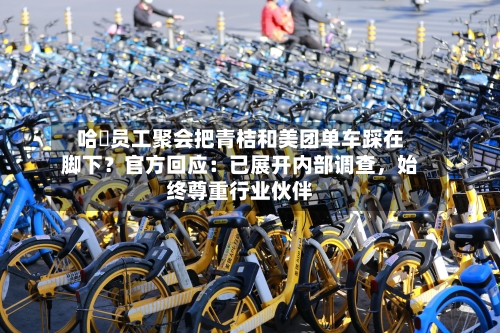 哈啰员工聚会把青桔和美团单车踩在脚下？官方回应：已展开内部调查，始终尊重行业伙伴-第2张图片