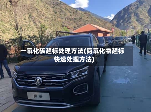 一氧化碳超标处理方法(氮氧化物超标快速处理方法)