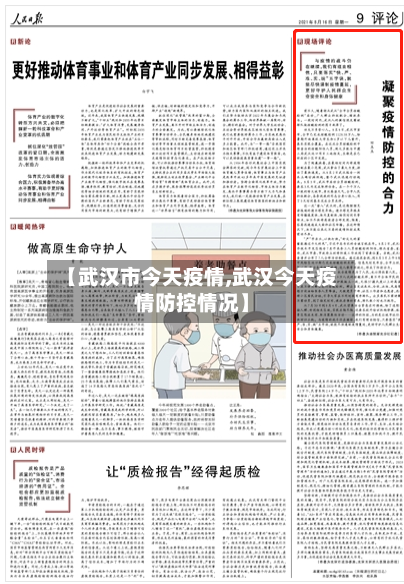 【武汉市今天疫情,武汉今天疫情防控情况】-第2张图片