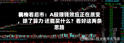 前十机构看后市：A股赚钱效应正在质变，除了算力 还能买什么？看好这两条思路-第2张图片