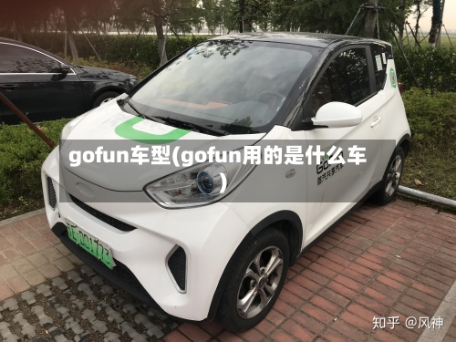 gofun车型(gofun用的是什么车)-第2张图片