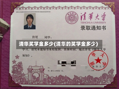清华奖学金多少(清华的奖学金多少)-第2张图片