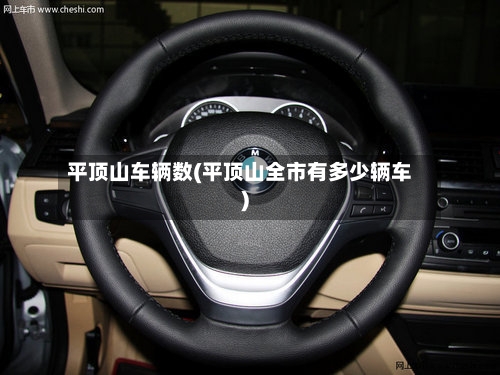 平顶山车辆数(平顶山全市有多少辆车)