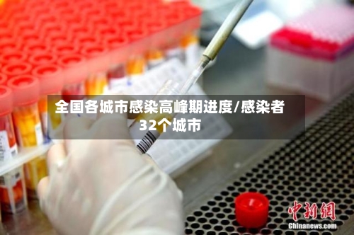 全国各城市感染高峰期进度/感染者32个城市-第2张图片