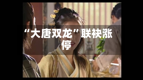 “大唐双龙	”联袂涨停-第2张图片