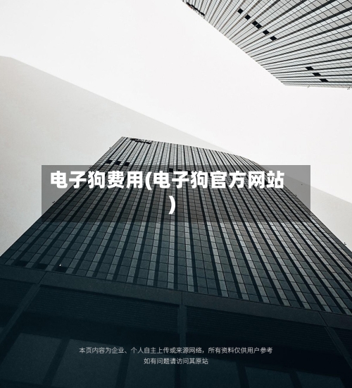 电子狗费用(电子狗官方网站)