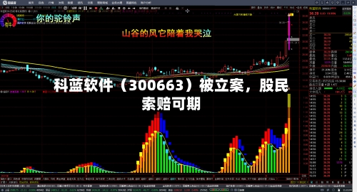 科蓝软件（300663）被立案	，股民索赔可期-第2张图片