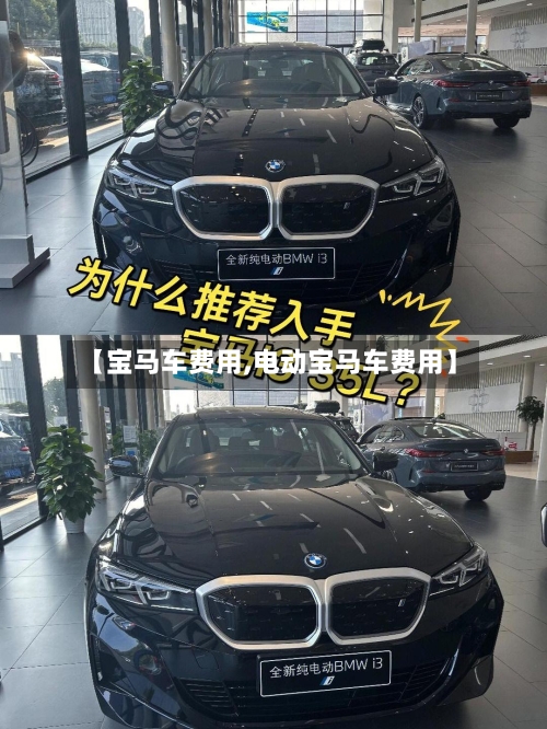 【宝马车费用,电动宝马车费用】