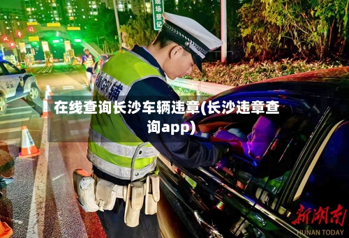 在线查询长沙车辆违章(长沙违章查询app)-第3张图片