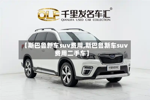 【斯巴鲁新车suv费用,斯巴鲁新车suv费用二手车】-第2张图片