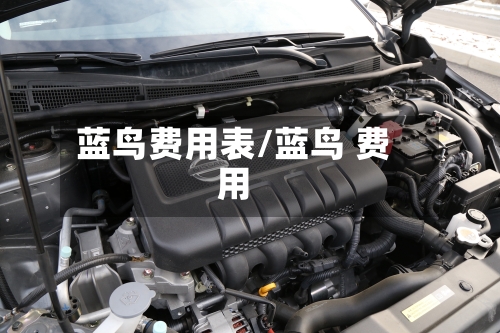 蓝鸟费用表/蓝鸟 费用-第2张图片