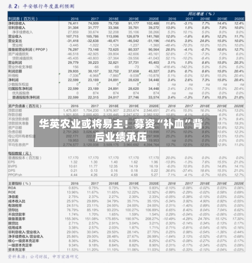 华英农业或将易主！募资“补血”背后业绩承压-第3张图片
