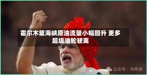霍尔木兹海峡原油流量小幅回升 更多超级油轮驶离-第2张图片