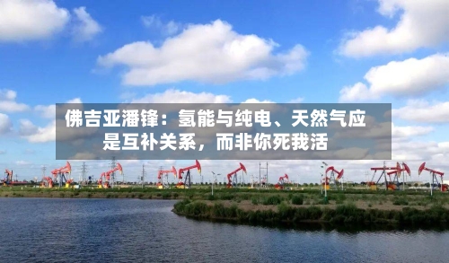 佛吉亚潘锋：氢能与纯电、天然气应是互补关系，而非你死我活-第2张图片