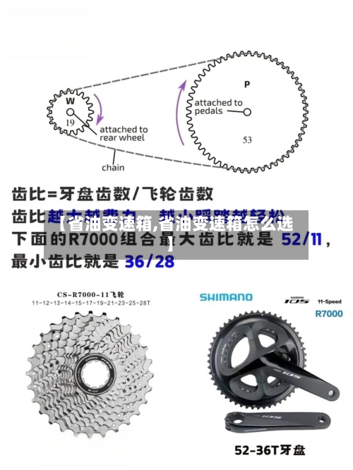 【省油变速箱,省油变速箱怎么选】-第2张图片