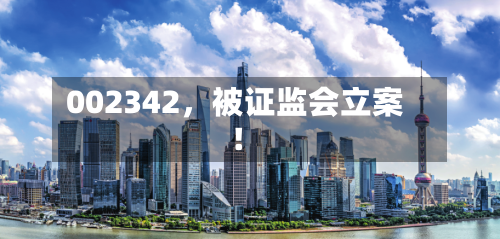 002342,被证监会立案!