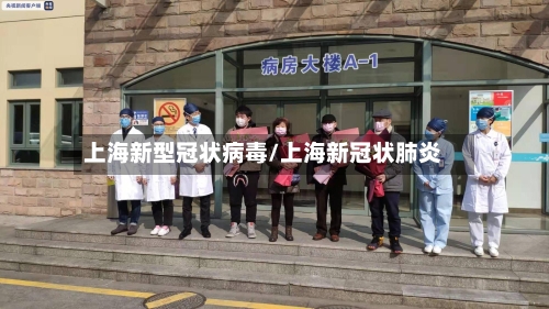 上海新型冠状病毒/上海新冠状肺炎