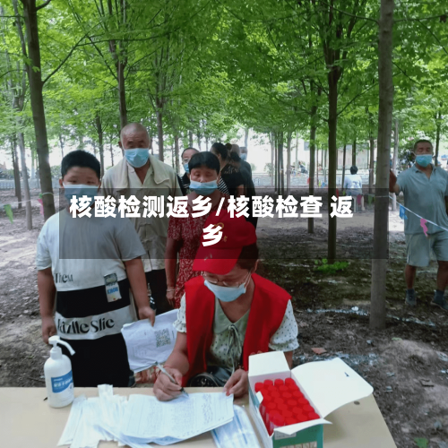 核酸检测返乡/核酸检查 返乡-第2张图片