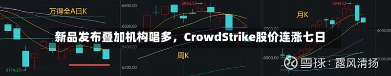新品发布叠加机构唱多，CrowdStrike股价连涨七日-第2张图片