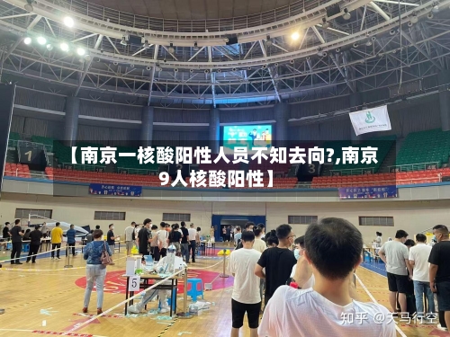 【南京一核酸阳性人员不知去向?,南京9人核酸阳性】-第2张图片