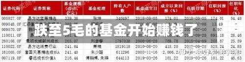 跌至5毛的基金开始赚钱了