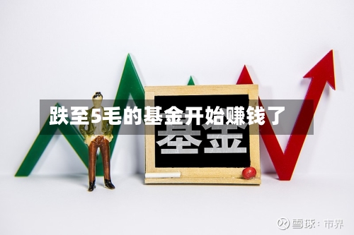 跌至5毛的基金开始赚钱了-第3张图片