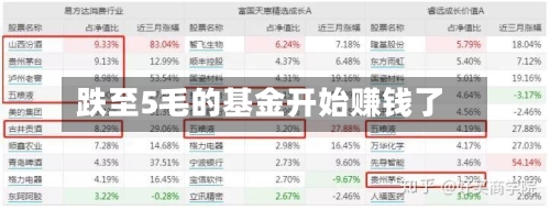 跌至5毛的基金开始赚钱了-第2张图片