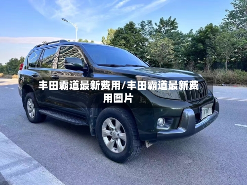 丰田霸道最新费用/丰田霸道最新费用图片