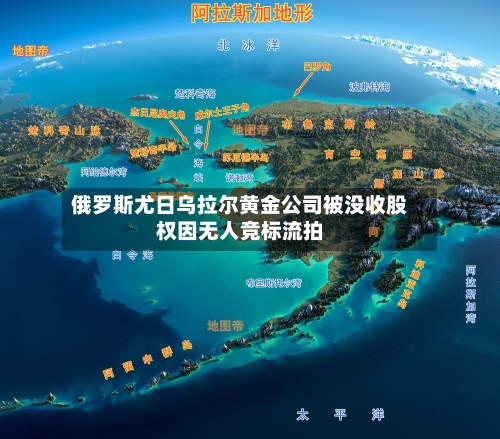 俄罗斯尤日乌拉尔黄金公司被没收股权因无人竞标流拍-第2张图片
