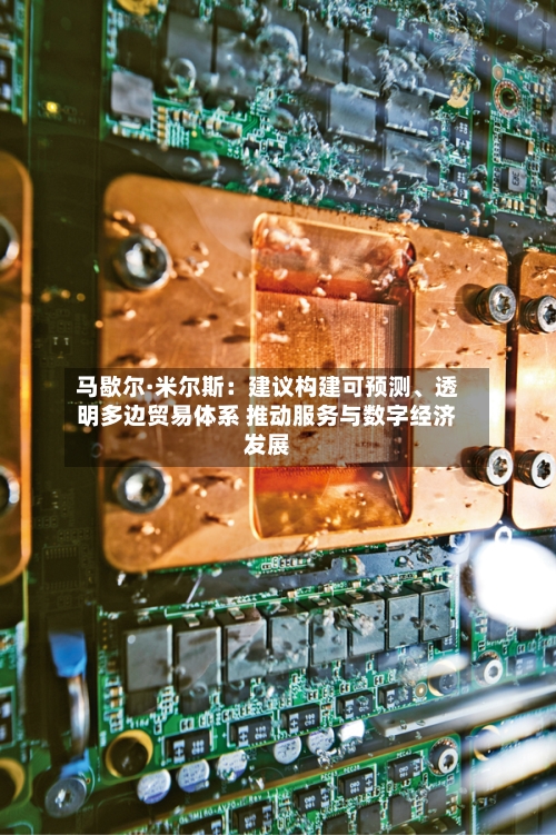 马歇尔·米尔斯：建议构建可预测、透明多边贸易体系 推动服务与数字经济发展-第2张图片