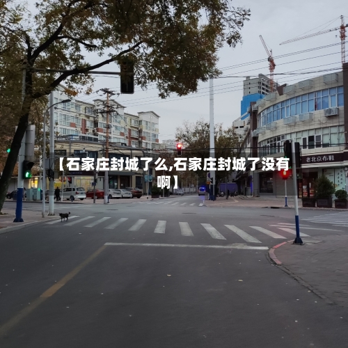 【石家庄封城了么,石家庄封城了没有啊】