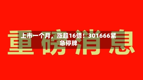 上市一个月，涨超16倍！301666紧急停牌-第2张图片
